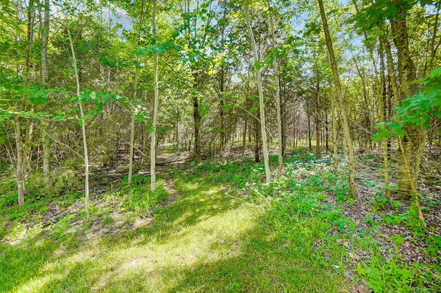 1036 State Route 247, Hillsboro, OH 45133 - view of wooded area