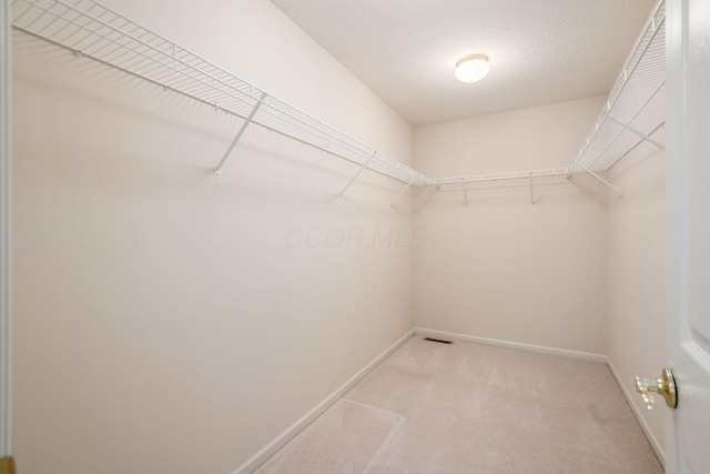 56 Dellenbaugh Loop, Etna, OH 43062 - walk in closet with light carpet