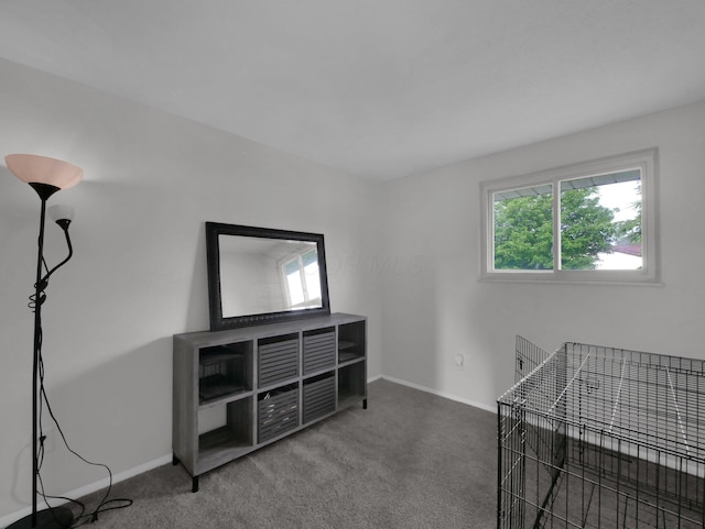 4702 Edinburgh Ln, Columbus, OH 43229 - unfurnished bedroom featuring carpet floors and baseboards