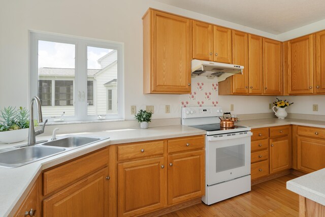 3899 Hampshire Ave, Powell, OH 43065 - kitchen with white electric range oven, a sink, under cabinet range hood, light wood-type flooring, and light countertops
