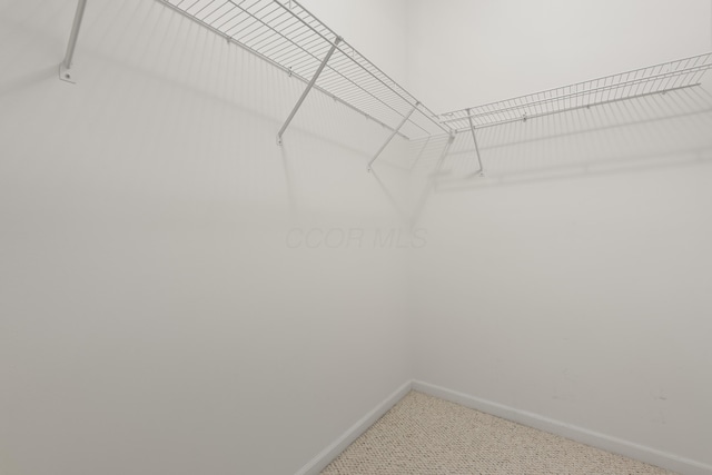 3899 Hampshire Ave, Powell, OH 43065 - spacious closet featuring carpet