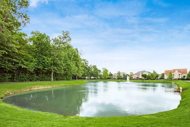 3308 Vinton Park Pl, Hilliard, OH 43026 - water view