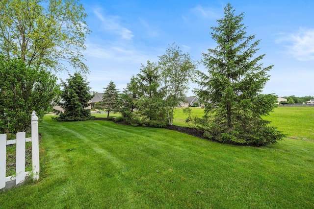 857 Village Dr, Delaware, OH 43015 - view of yard