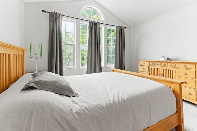 4465 Big Walnutview Dr, Columbus, OH 43230 - carpeted bedroom featuring lofted ceiling