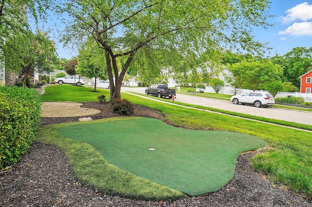 273 Blue Jacket Cir, Pickerington, OH 43147 - view of yard featuring an area to practice putting