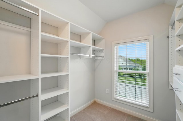 273 Blue Jacket Cir, Pickerington, OH 43147 - spacious closet with lofted ceiling and carpet floors