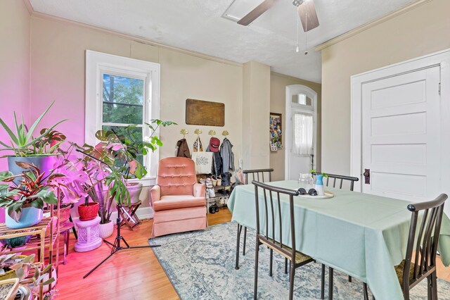 1904 Cedar Hill Rd, Lancaster, OH 43130 - dining area with ceiling fan, ornamental molding, wood finished floors, and arched walkways