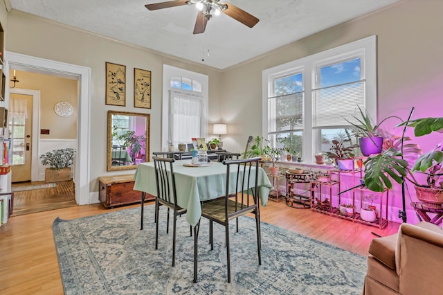 1904 Cedar Hill Rd, Lancaster, OH 43130 - dining room featuring ornamental molding, a ceiling fan, and wood finished floors
