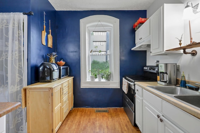 1904 Cedar Hill Rd, Lancaster, OH 43130 - kitchen with stainless steel appliances, under cabinet range hood, light wood-style floors, white cabinetry, and light countertops