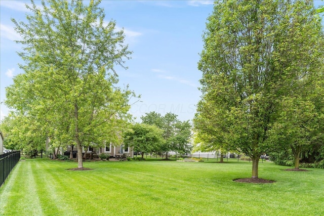 4560 Greyson Dr, Powell, OH 43065 - view of yard