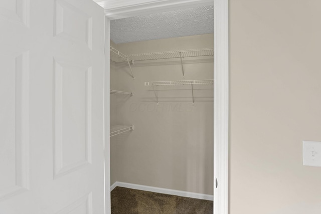 108 Shelbourne Forest Way, Delaware, OH 43015 - walk in closet featuring carpet