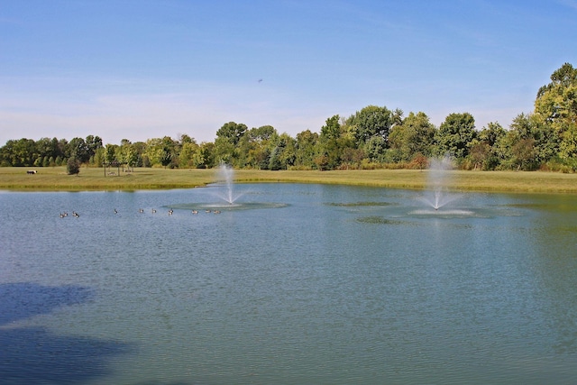 6612 Archie Ct, Canal Winchester, OH 43110 - water view