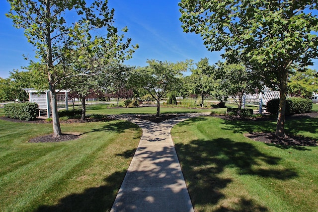 6612 Archie Ct, Canal Winchester, OH 43110 - view of home's community featuring a lawn