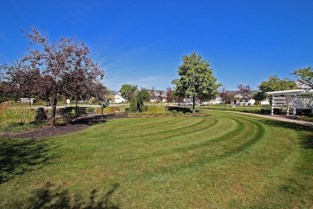 6612 Archie Ct, Canal Winchester, OH 43110 - view of grassy yard