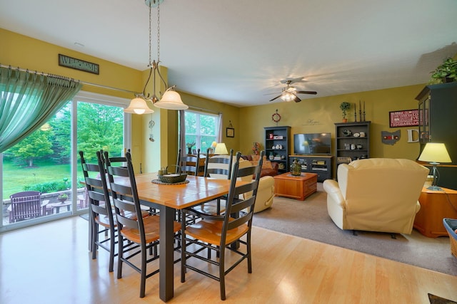 6612 Archie Ct, Canal Winchester, OH 43110 - dining room featuring ceiling fan and light wood-type flooring