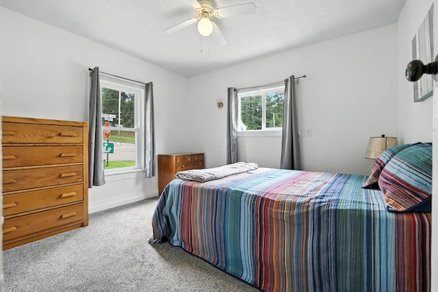 101 Meadow Ln, Gambier, OH 43022 - carpeted bedroom featuring multiple windows and ceiling fan