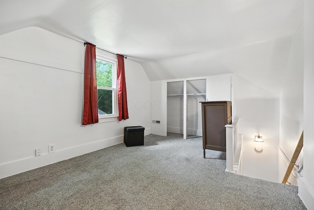 101 Meadow Ln, Gambier, OH 43022 - additional living space featuring lofted ceiling and carpet
