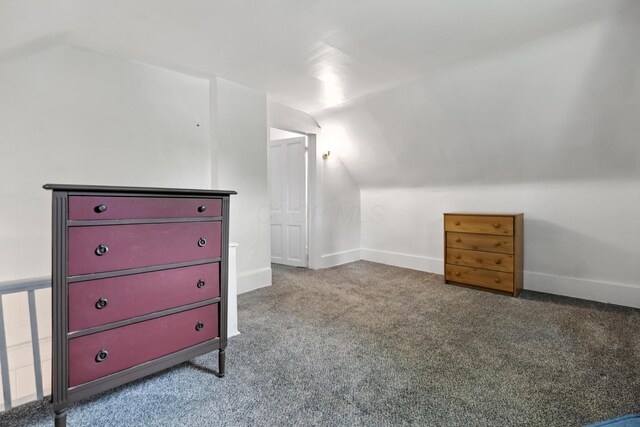 101 Meadow Ln, Gambier, OH 43022 - bonus room featuring vaulted ceiling and carpet floors