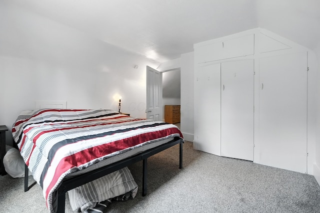 101 Meadow Ln, Gambier, OH 43022 - bedroom with light carpet, vaulted ceiling, and a closet