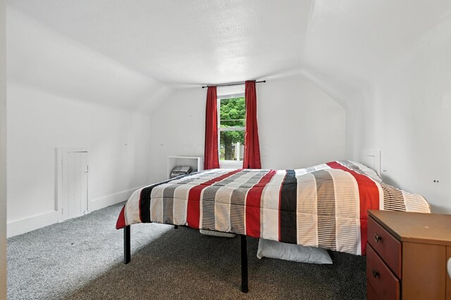 101 Meadow Ln, Gambier, OH 43022 - bedroom featuring vaulted ceiling and carpet floors