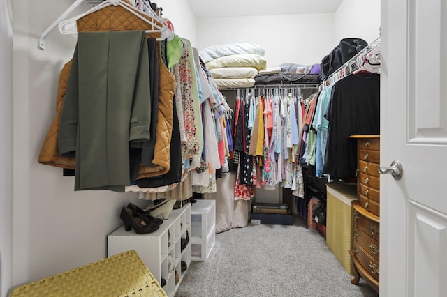 217 Warbler Ct, Pickerington, OH 43147 - walk in closet featuring carpet floors