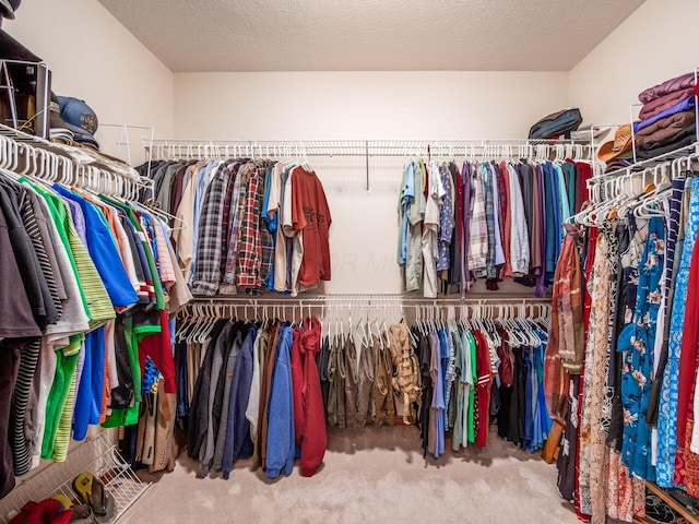 1397 Horseshoe Rd, Delaware, OH 43015 - spacious closet featuring carpet flooring