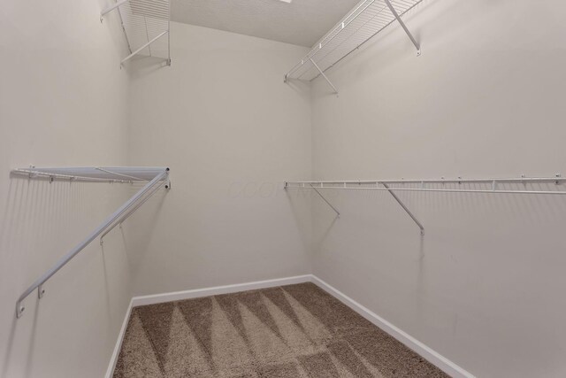 211 Whitetail Trl, Johnstown, OH 43031 - spacious closet featuring carpet flooring