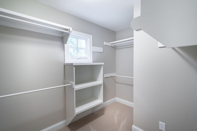 7699 Clear Creek Ct, Blacklick, OH 43004 - spacious closet featuring carpet flooring