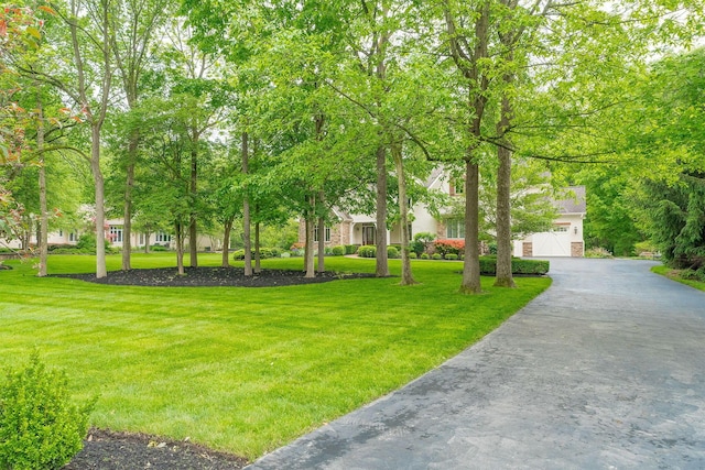 7699 Clear Creek Ct, Blacklick, OH 43004 - surrounding community with a lawn and asphalt driveway