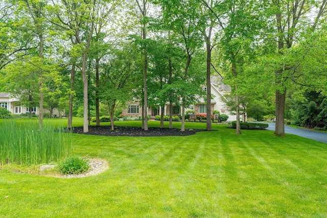 7699 Clear Creek Ct, Blacklick, OH 43004 - view of grassy yard