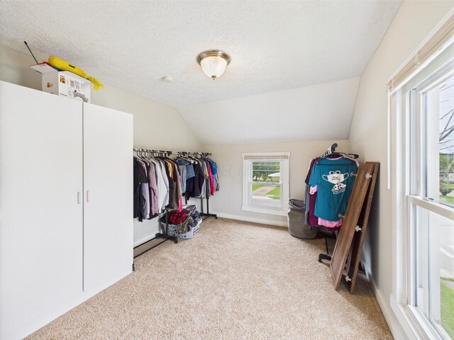 1708 Cedar Hill Rd, Lancaster, OH 43130 - spacious closet featuring carpet floors and vaulted ceiling