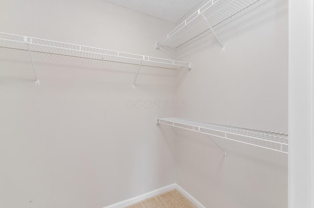 3248 Medoma Dr, Columbus, OH 43204 - walk in closet with carpet