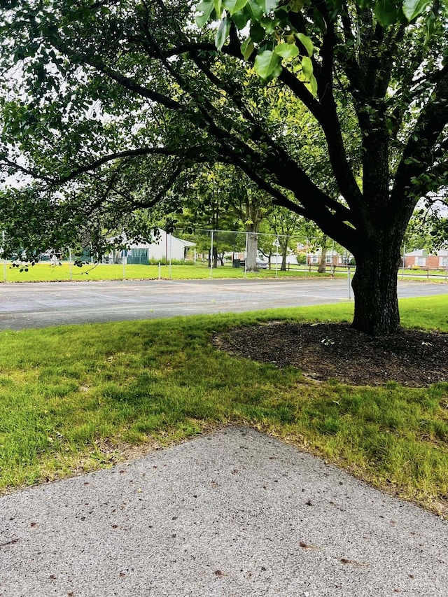 3037 La Vista Dr Unit 39, Columbus, OH 43204 - view of yard