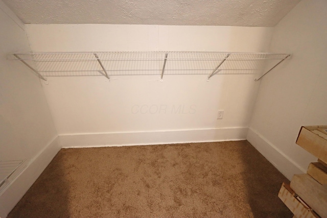 301 W Marion St, Mount Gilead, OH 43338 - walk in closet with carpet flooring