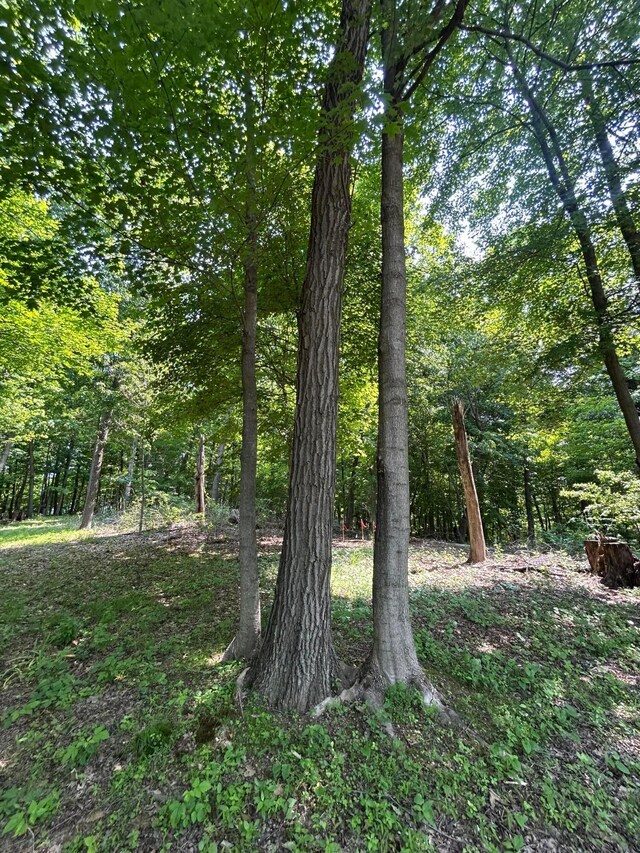 0 Cumberland Crst, Heath, OH 43056 - photo 25