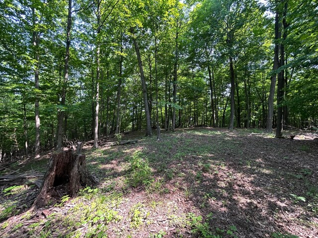 0 Cumberland Crst, Heath, OH 43056 - photo 28