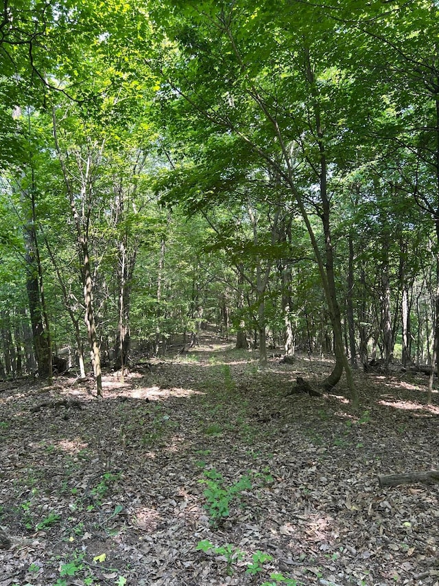 0 Cumberland Crst, Heath, OH 43056 - photo 40