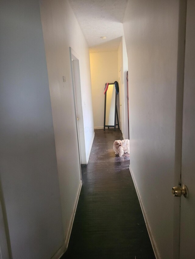 688 S Ohio Ave, Columbus, OH 43205 - hall featuring baseboards and wood finished floors