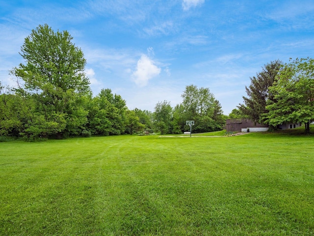 10241 Watkins Rd SW, Etna, OH 43062 - photo 40