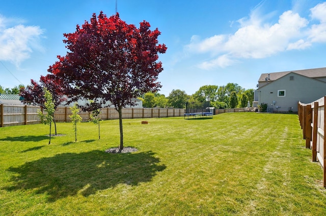 1627 Metcalfe Ave, Columbus, OH 43207 - view of yard featuring a trampoline