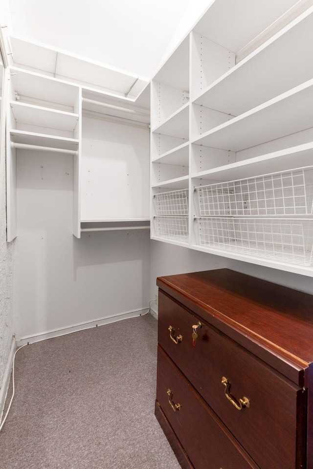 1631 Roxbury Rd Unit D2, Columbus, OH 43212 - walk in closet featuring carpet