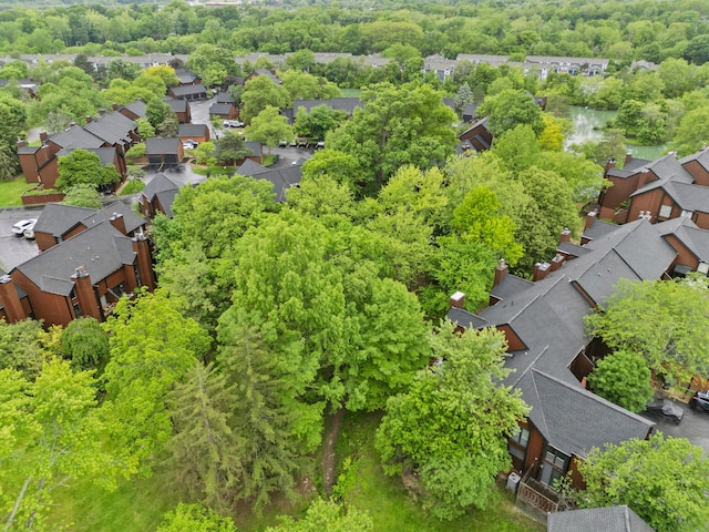 4796 Crazy Horse Ln, Westerville, OH 43081 - photo 19