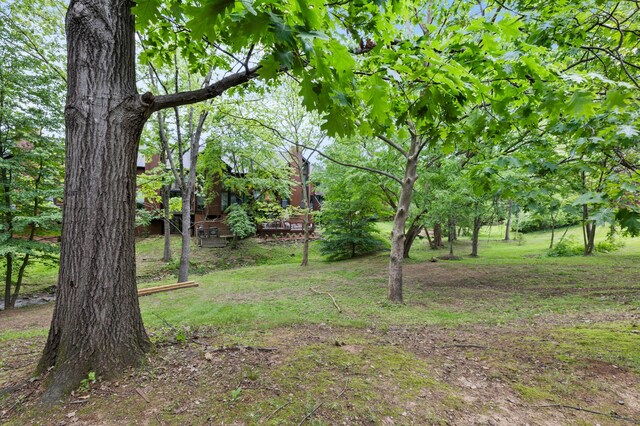 4796 Crazy Horse Ln, Westerville, OH 43081 - photo 21
