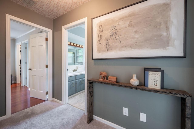 837 Cherry Bottom Rd, Columbus, OH 43230 - corridor featuring carpet, baseboards, and a sink