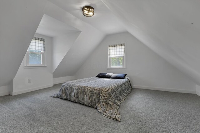 19616 N St, Laurelville, OH 43135 - carpeted bedroom with vaulted ceiling and baseboards