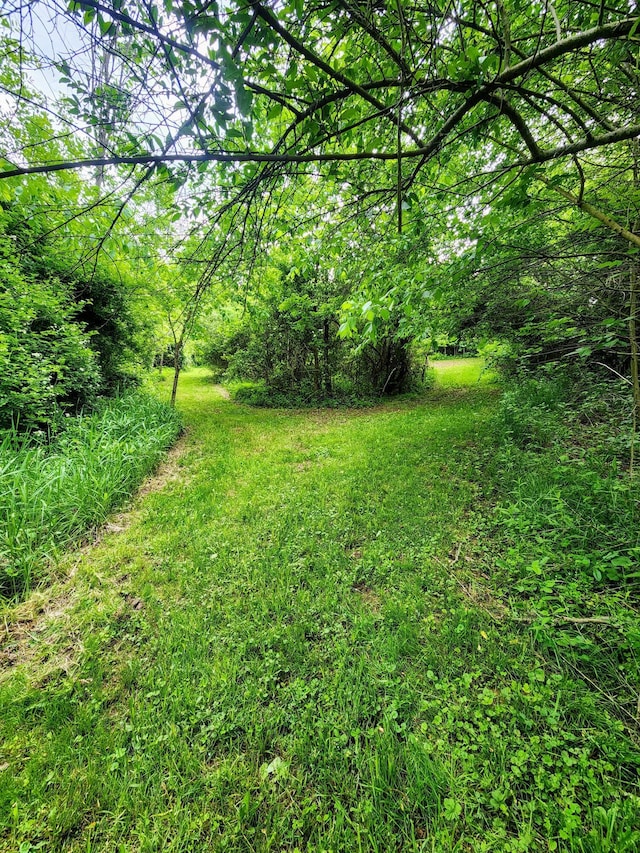 6960 Bluebell Rd, Cumberland, OH 43732 - view of yard