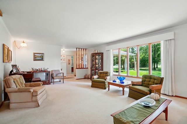 8430 Patterson Rd, Hilliard, OH 43026 - living area featuring light colored carpet, crown molding, and baseboards