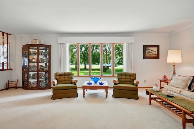 8430 Patterson Rd, Hilliard, OH 43026 - carpeted living room featuring ornamental molding and baseboards