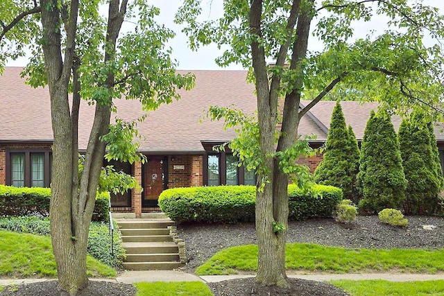 4760 Coach Rd Unit 14, Columbus, OH 43220 - view of front facade with brick siding and a shingled roof