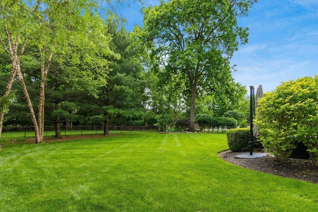 2545 Bryton Dr, Powell, OH 43065 - view of yard